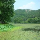 송산유원지 이미지