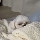 태평중앙2길 이미지