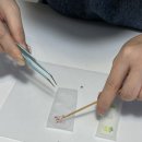 원데이클래스-헤어 이미지