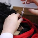 밝은한의원 이미지