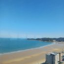 젠 모텔 | [충남/태안]태안 만리포 해수욕장에서 게스트하우스 젠 숙박기, 만리포가 떠오르는 서핑성지래요!