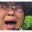 엣더모먼트 | 2025년 6월 15일 일요일 토익 정기토익 후기.. (토익 800점대의 오답복기)