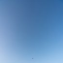 토성목장 이미지