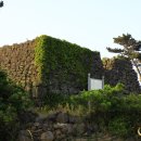 애월연대 이미지