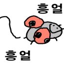 미션기획 이미지