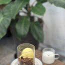 플루토썸머 이미지