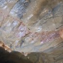 성원리 | [영월 고씨굴 동굴 몰아보기3] 동굴 탐험 고씨굴은 어떻게 만들어졌을까? 동굴 생성의 과학적 비밀 영월...