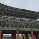 우량농지 조성공사 | 서울에서 조선시대를 걷다, 창경궁 한 바퀴