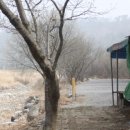 솔밭펜션 이미지