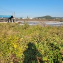 동주로(동주길) 이미지