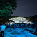 창경궁 홍화문 옆 | 창경궁 물빛연화 야간개장 예매 명당자리 꿀팁 웨이팅 솔직 후기