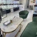 펫퍼스트 24시 강아지분양고양이분양 용인점 이미지