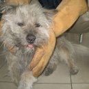 난곡동-14 이미지