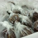 애자농장 이미지