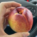 카페 윌로우(cafe willow) 이미지