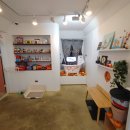 헬로우프리티 이미지