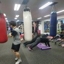 성남권투체육관 이미지