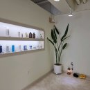 벽산목욕탕 | 마산 여성전용 1인세신샵 스파제이엘 나라시 후기