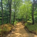 소실봉근린공원 이미지