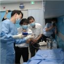 참하지외과의원 일간스포츠