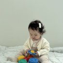 자라나요 오감 책놀이 | 베이비올아기 유아전집 책놀이 오감놀이 놀잇감 연계활동 후기