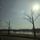 엑스포과학공원 버스정류장 | 대전 멀티미디어 불꽃쇼 한화이글스 40주년 KBO 준우승 불꽃축제