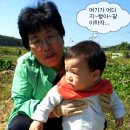 민욱농장 Daum카페
