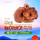 수비면 체육공원 이미지