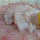 주문진횟집 이미지