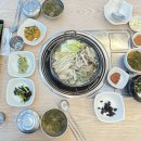 정통쌈밥 티스토리