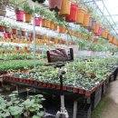 김종구농장 이미지