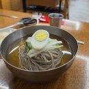 대동 | 대구 평양냉면 맛집 육수부터 다른 대동면옥 내돈내산 후기
