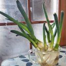 벼리농장 이미지