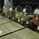 동인당중국한의원 이미지