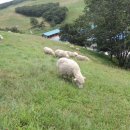 경실목장 이미지