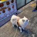 토담옛날통닭용인