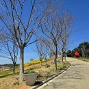 증도면병풍도보건진료소 이미지