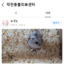하단오거리 동물의료센터 이미지