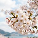 동삼1동-9 이미지