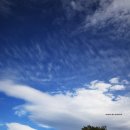 은서목장 이미지