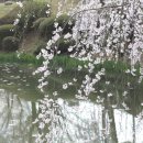 승월마을회관 이미지