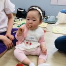 도로시의숲