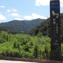 하늘애견 이미지