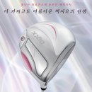 (주)송도골프 | 인천골프매장 여성골퍼 풀세트 가장 인기가 많은 젝시오14 구매후기