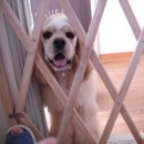 나도나도 이미지