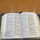 시편카페 이미지