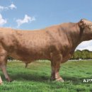 만금농장 이미지