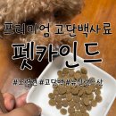 카인드 - 서구 가석로156번길 16 | 프리미엄 고단백사료 펫카인드, 노령견 푸들 먹여본 후기