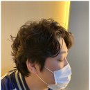 헤어룸 211