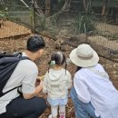 느림보농장 | 아기랑 시드니 7박8일 (4) - 페더데일동물원 입장권, 렌트카